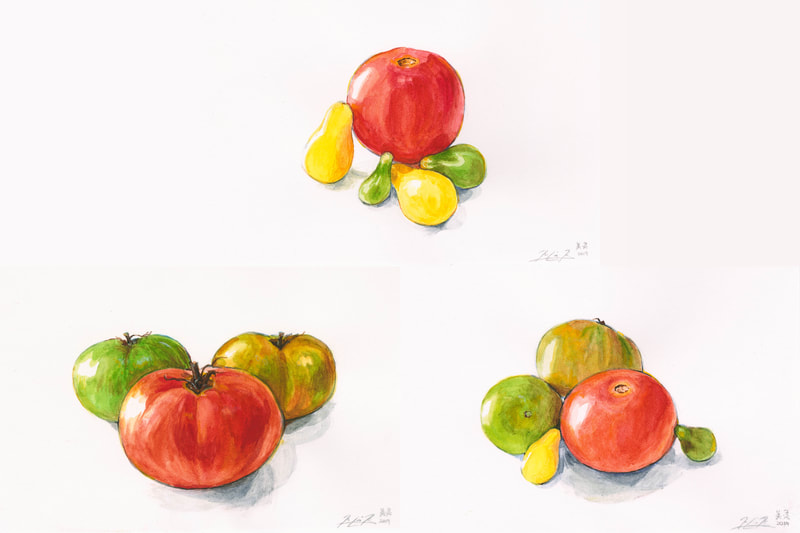 May Kopecky Harvest Series Tomatoes by May Ling Kopecky Watercolor Tomatoes Tomato
