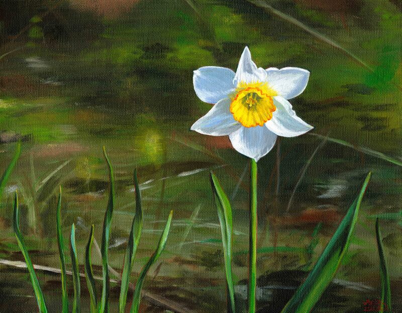 May Kopecky Poet's Daffodil by May Ling Kopecky Acrylic painting daffodil