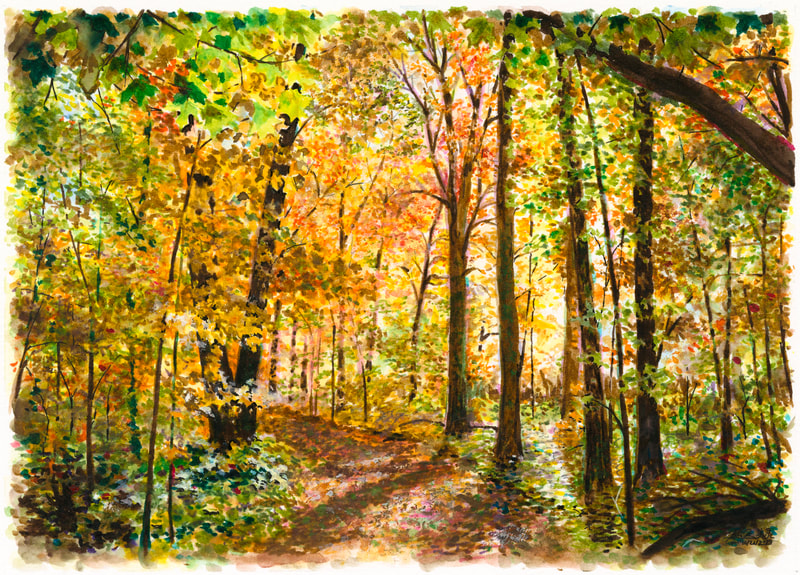 May Kopecky Sketch of the Big Woods by May Ling Kopecky drawing painting watercolor fall autumn wayzata landscape