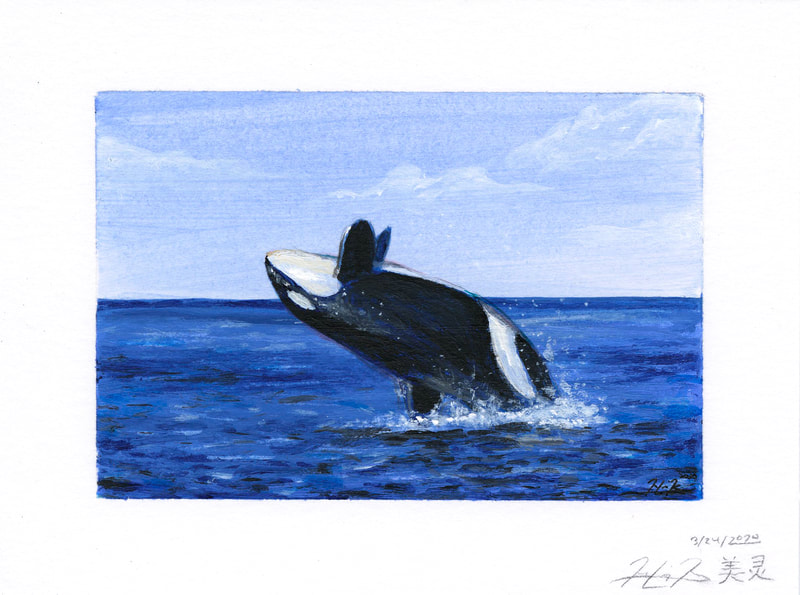 
May Kopecky Wallet-sized Whale by May Ling Kopecky Acrylic painting whale orca small wallet